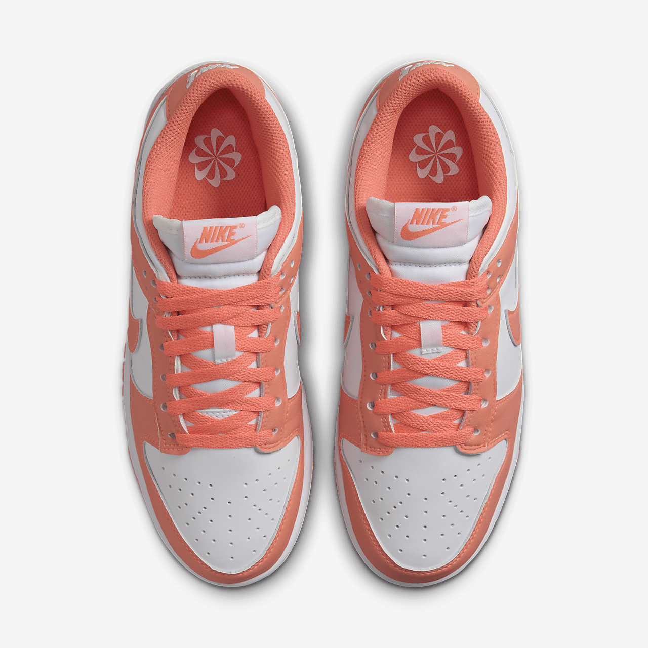 Кросівки Nike Dunk Low DD1873-109