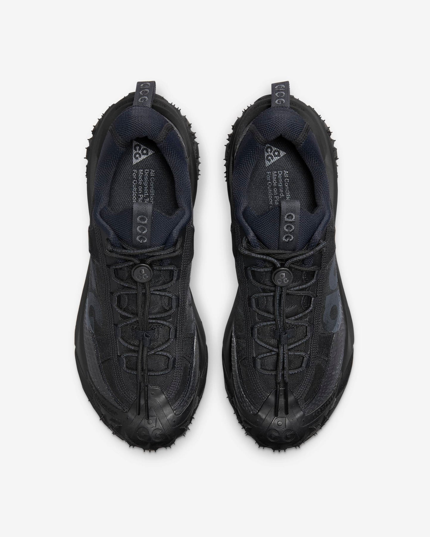 Кросівки Nike ACG Mountain Fly 2 Low DV7903-002