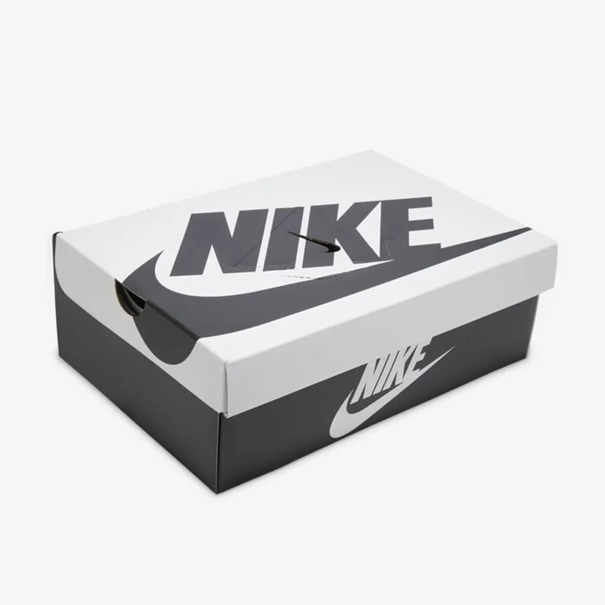 Кросівки Nike Dunk Low SE HQ1965-100