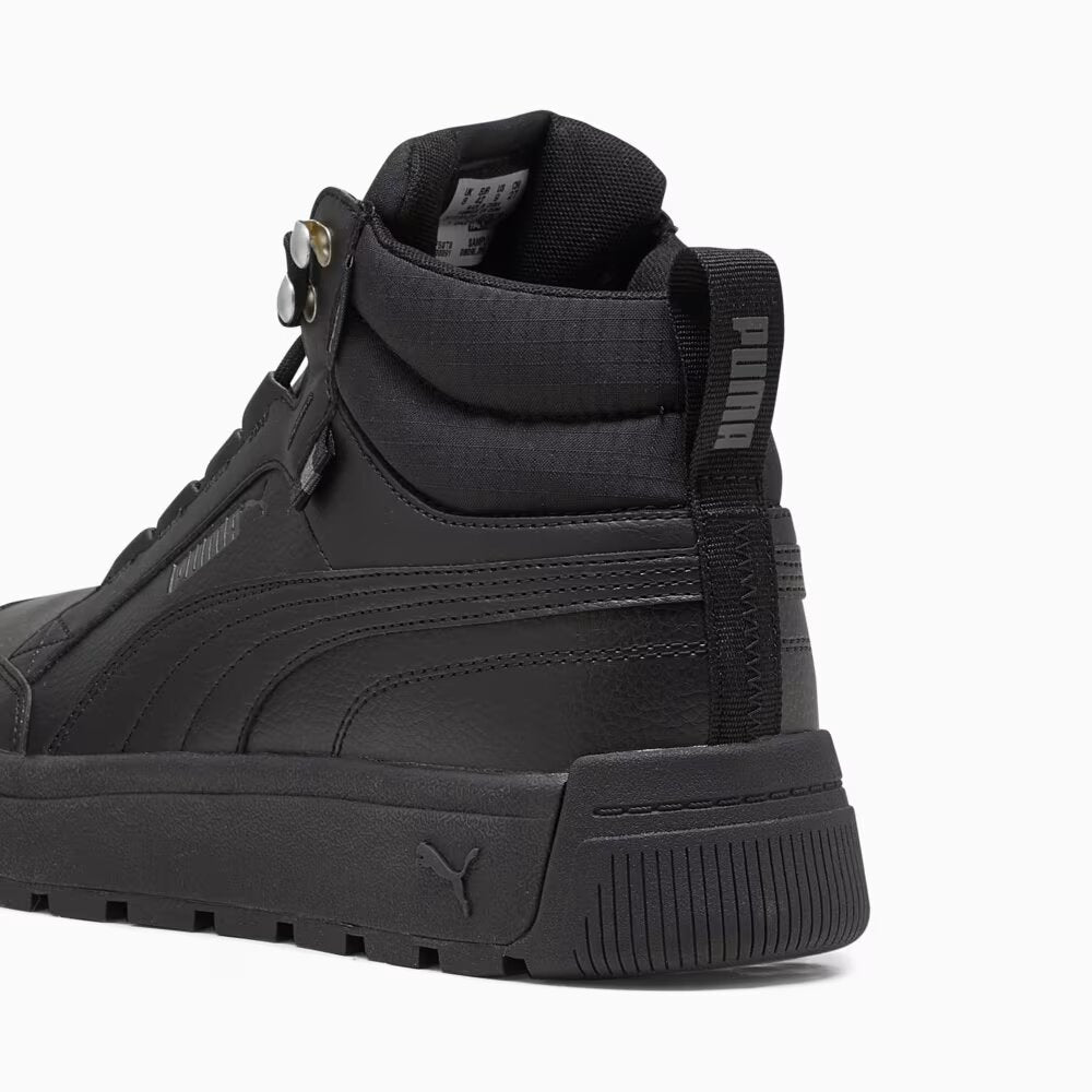 Кросівки Puma Tarrenz SB III Puretex 393930-01