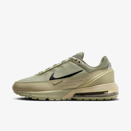 Кросівки Nike Air Max Pulse FJ2589-200