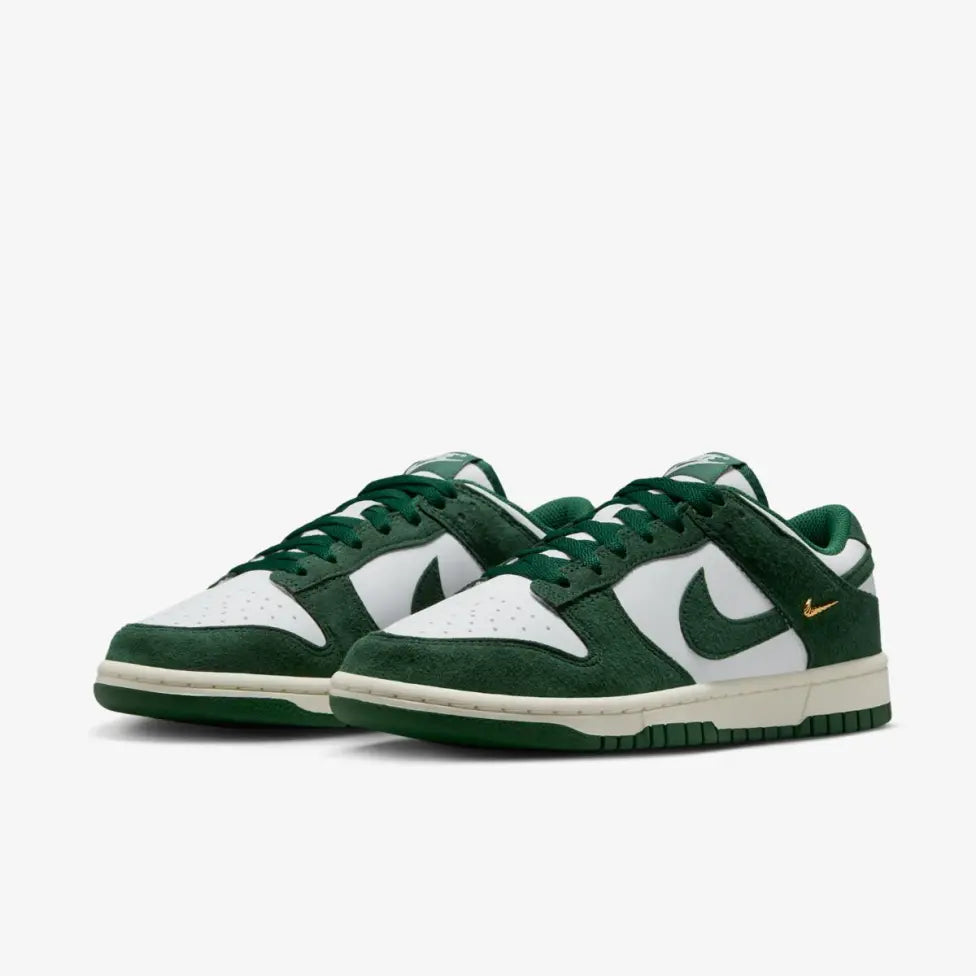 Кросівки Nike Dunk Low IB4417-100