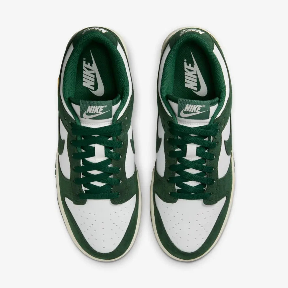 Кросівки Nike Dunk Low IB4417-100